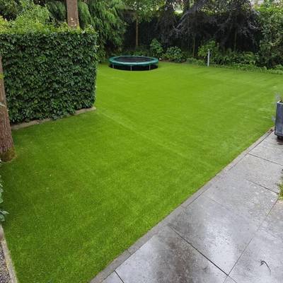  Buying Artificial Grass? How To Choose The Best Artificial Grass thumbnail